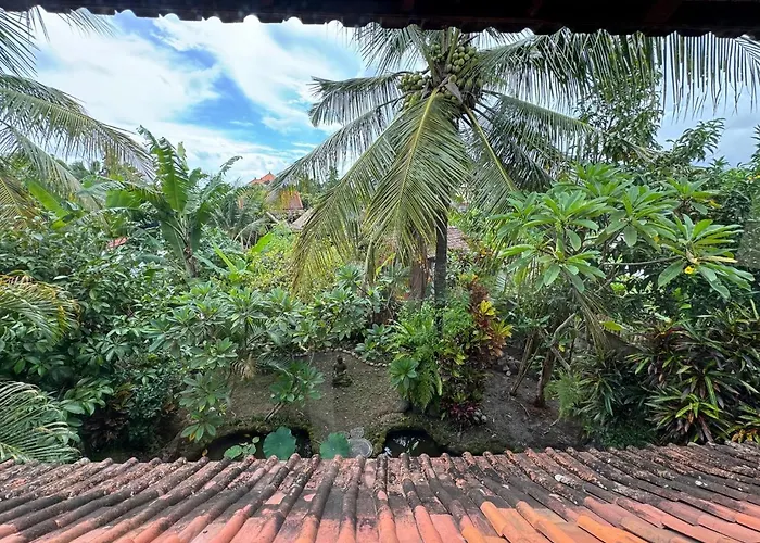 Rumah Jambu *